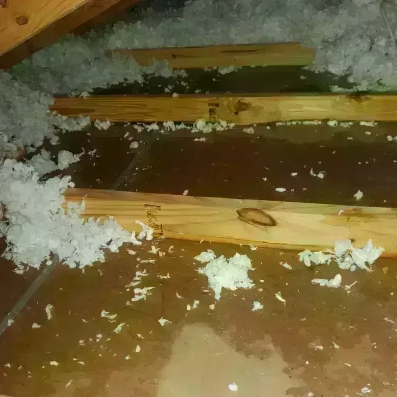 Attic Water Damage in New Pekin, IN